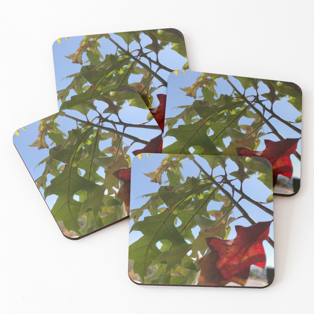 Item preview, Coasters (Set of 4) designed and sold by RDLT.