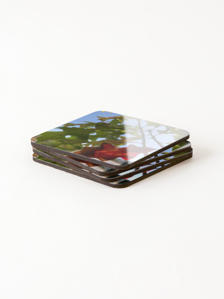 Thumbnail 4 of 5, Coasters (Set of 4), Transition designed and sold by RDLT.
