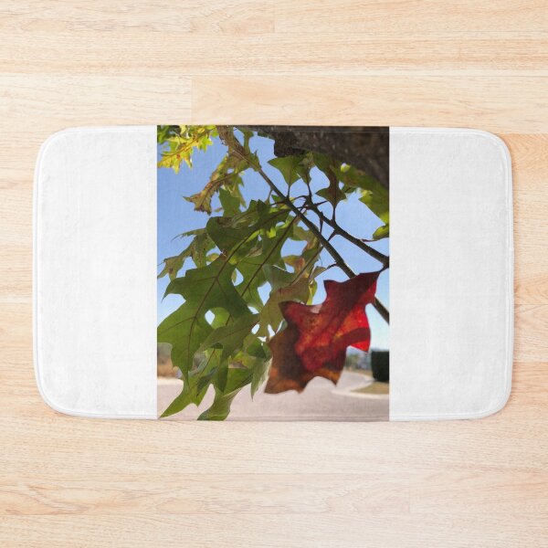 Item preview, Transition designed and sold by RDLT.