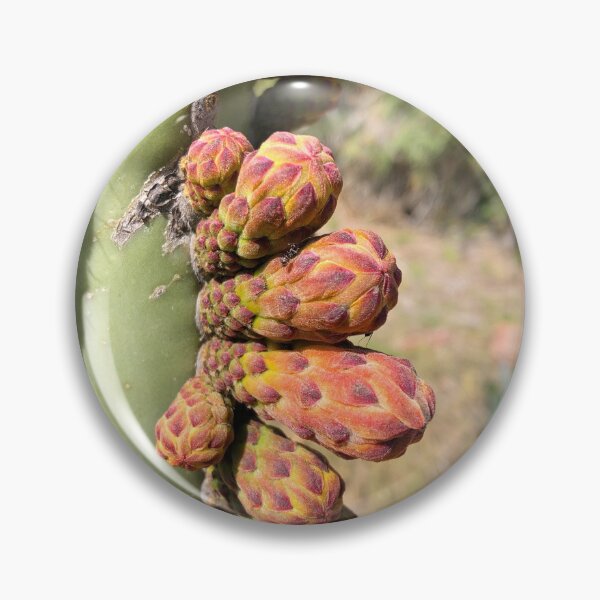 Item preview, Bulbos de flor de orgános designed and sold by RDLT.