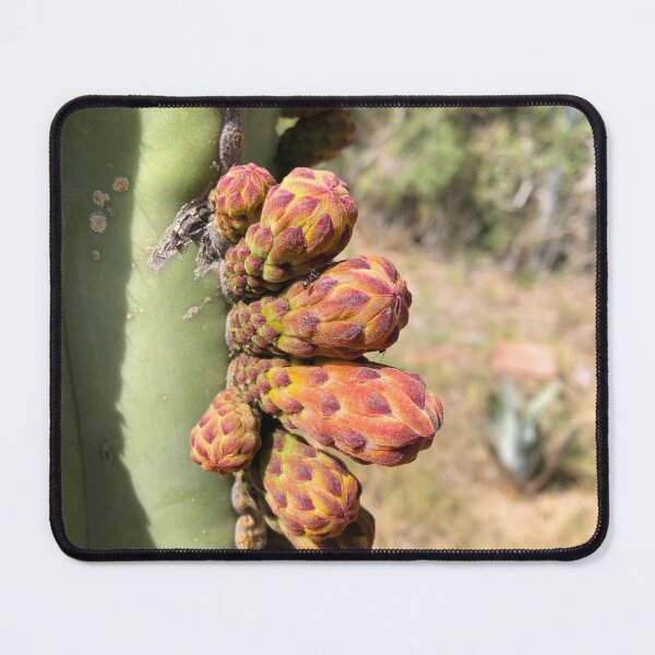 Item preview, Organ flower bulbs designed and sold by RDLT.