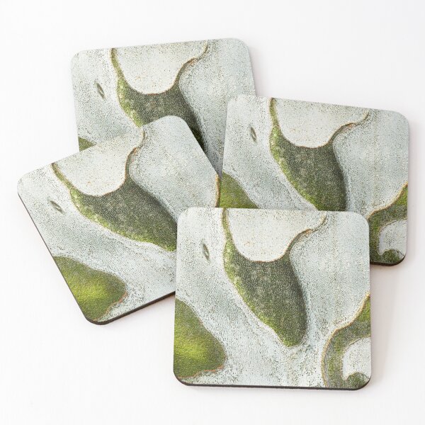 Item preview, Platanus mexicana Tree designed and sold by robdwildlife.