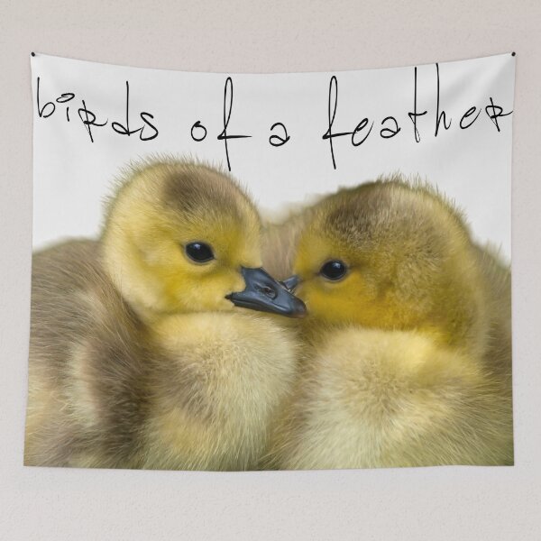 Item preview, Birds of a Feather – Bestie Ducks designed and sold by coconova.
