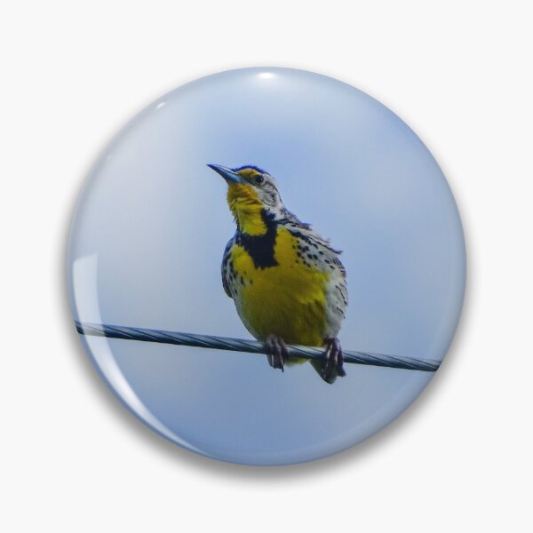 Item preview, Western Meadowlark designed and sold by BirdyBirdy8.