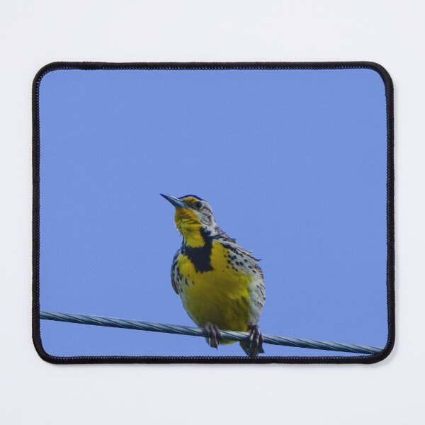 Item preview, Western Meadowlark designed and sold by BirdyBirdy8.