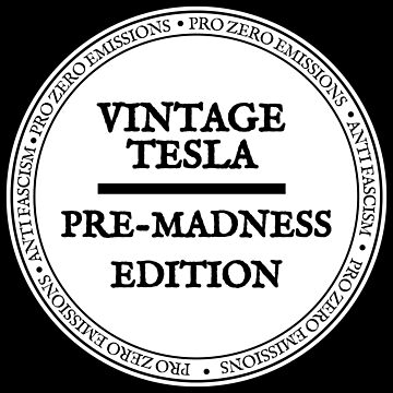 Imagen de la obra Los propietarios de Tesla expresarán su desagrado por la locura antifascista del clásico Elon Musk de SkeletonsDanger