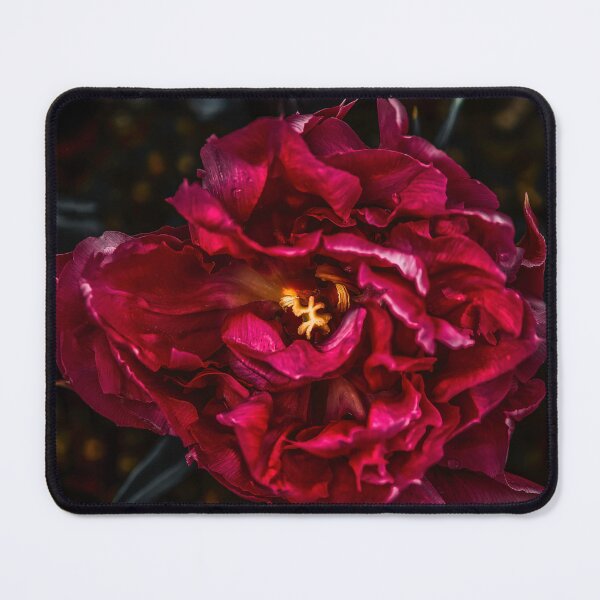 Item preview, Eye Catcher designed and sold by Steve Walser.