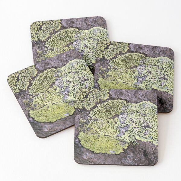 Item preview, lichen designed and sold by KathleenDawson.