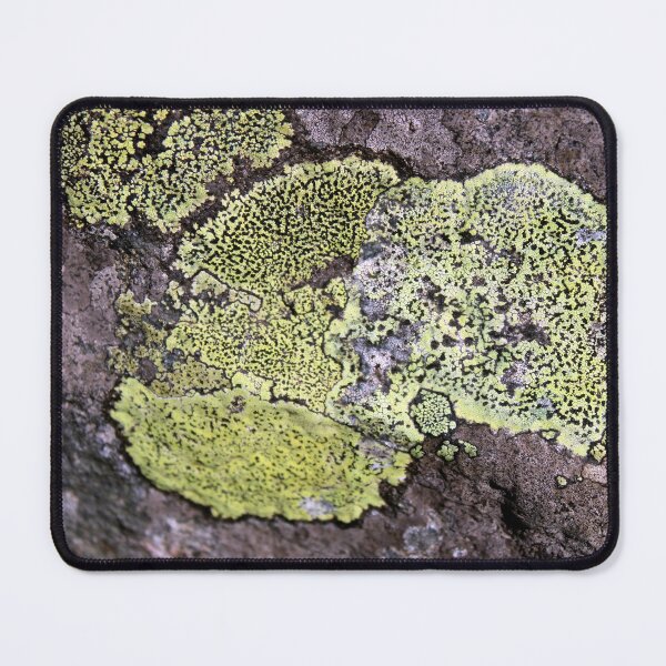 Item preview, lichen designed and sold by KathleenDawson.