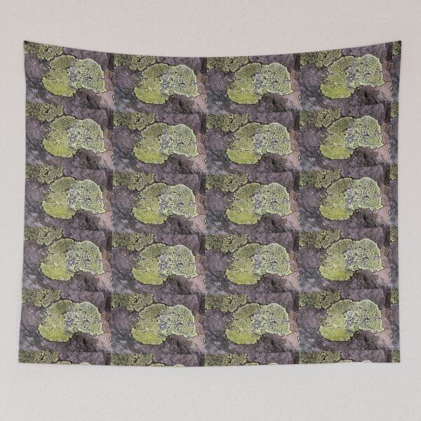 Item preview, lichen designed and sold by KathleenDawson.
