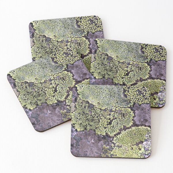 Item preview, lichen designed and sold by KathleenDawson.