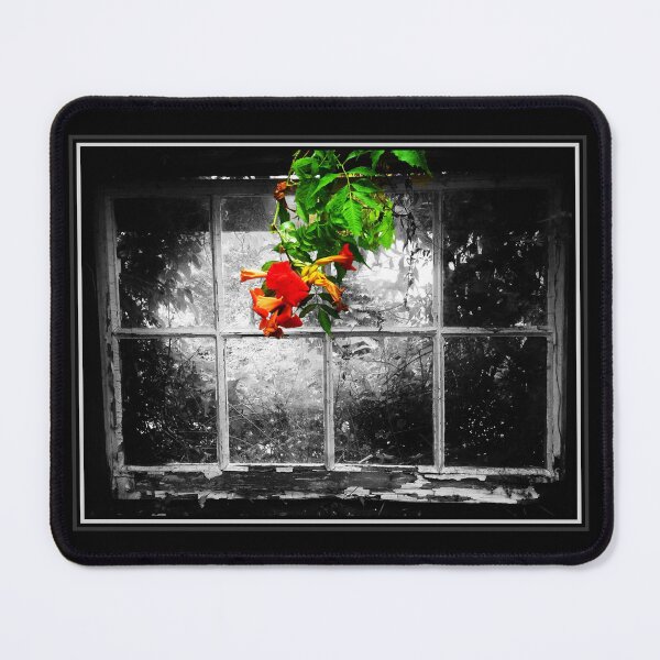 Item preview, View through an old barn window designed and sold by LavaMu.