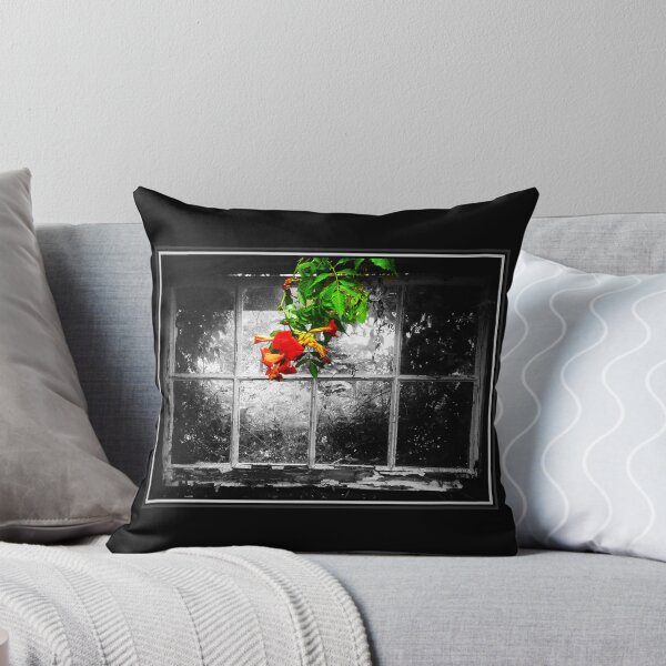 Item preview, View through an old barn window designed and sold by LavaMu.