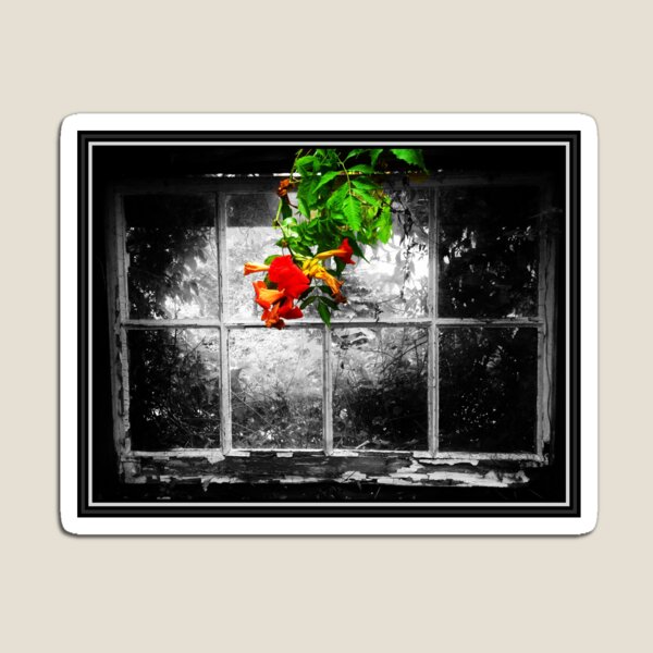 Item preview, Vista a través de la ventana de un antiguo granero designed and sold by LavaMu.