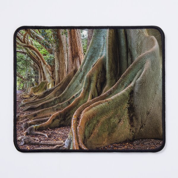 Item preview, Buttress roots of fig trees designed and sold by andreisky.