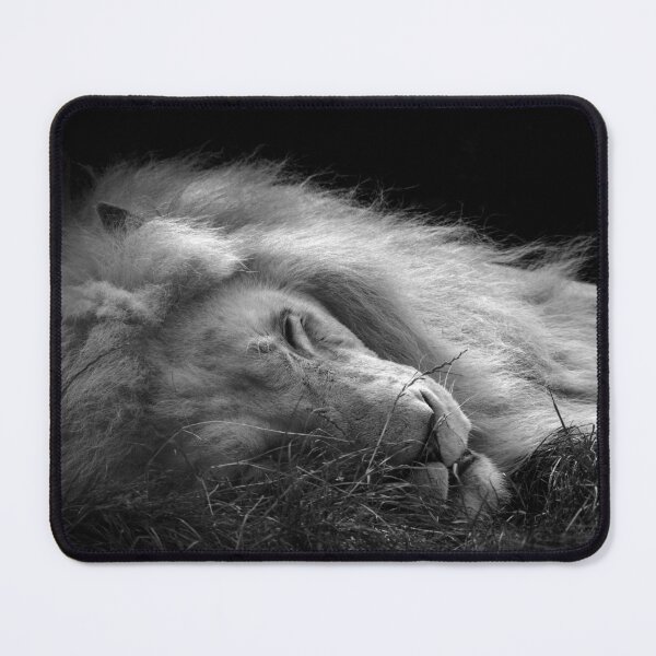 Item preview, Sleeping Lion black and white photo designed and sold by CryptoLadyGabi.