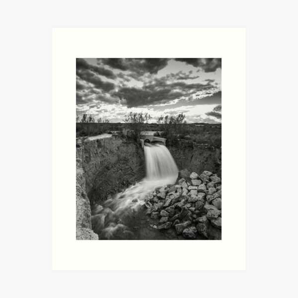 Cola Embalse de la Pedrera Art Print