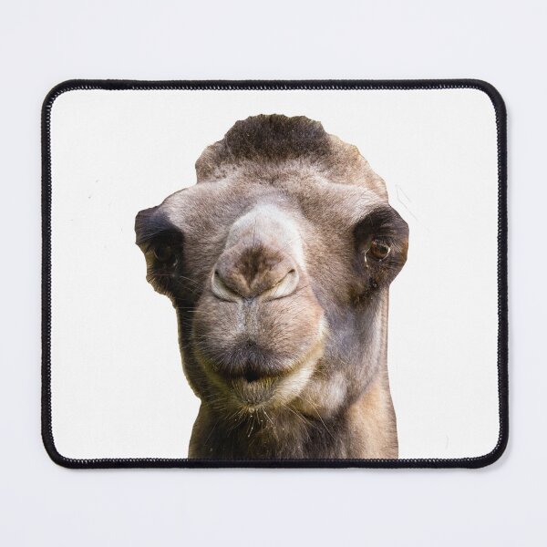 Item preview, The lovely camel kiss - color designed and sold by CryptoLadyGabi.