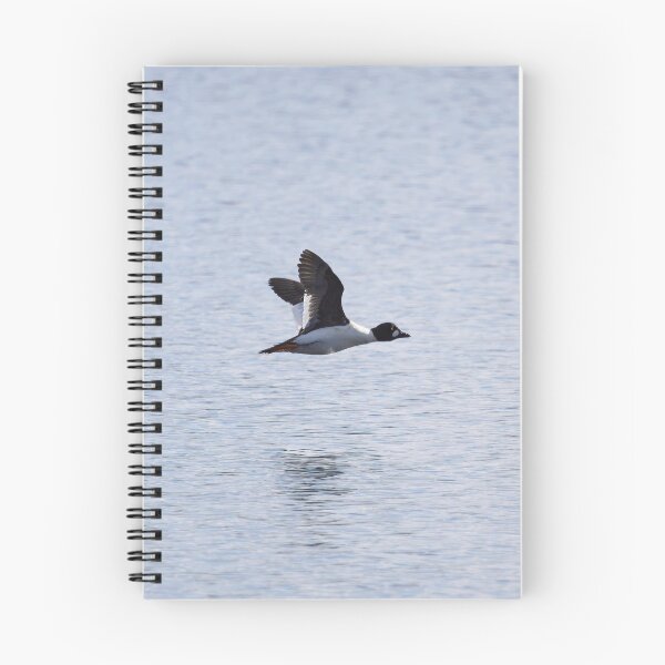 Item preview, Alone. Common goldeneye designed and sold by Jouko Lehto Photography.