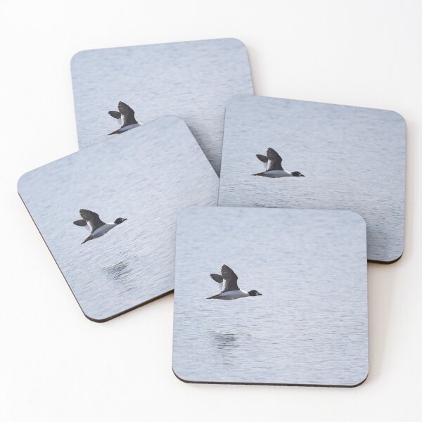 Item preview, Alone. Common goldeneye designed and sold by Jouko Lehto Photography.