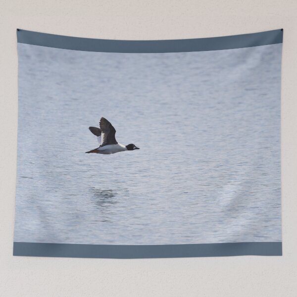 Item preview, Alone. Common goldeneye designed and sold by Jouko Lehto Photography.