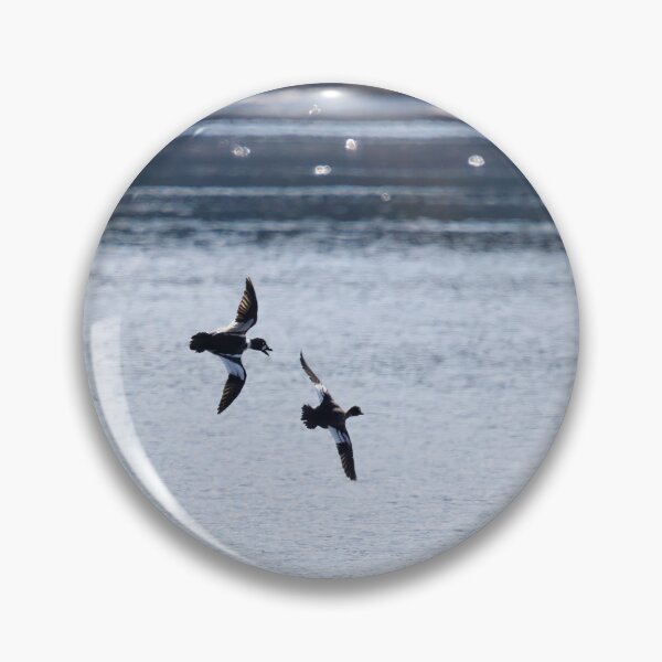 Item preview, Where are you going my darling. Common goldeneye designed and sold by Jouko Lehto Photography.