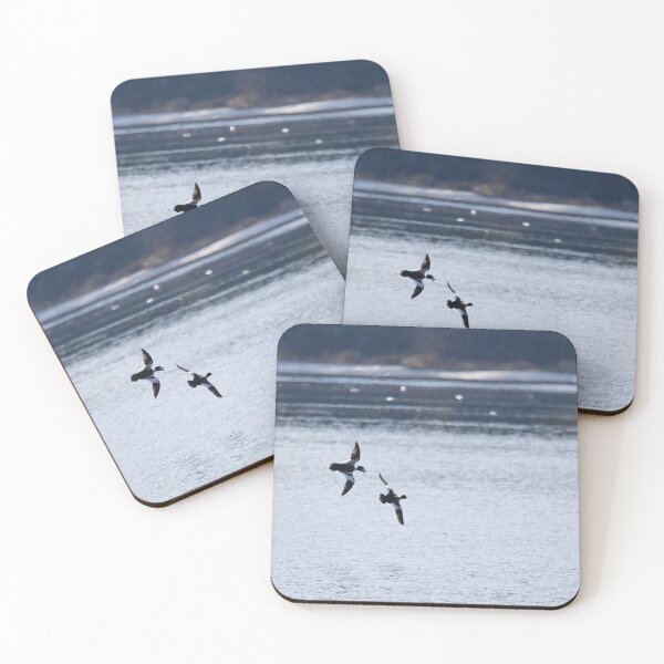 Item preview, Where are you going my darling. Common goldeneye designed and sold by Jouko Lehto Photography.