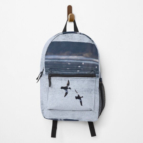 Item preview, Where are you going my darling. Common goldeneye designed and sold by Jouko Lehto Photography.