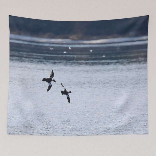 Item preview, Where are you going my darling. Common goldeneye designed and sold by Jouko Lehto Photography.