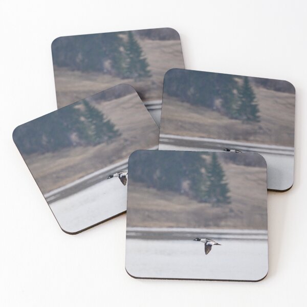 Item preview, By the Fieldside lake. Common goldeneye designed and sold by Jouko Lehto Photography.