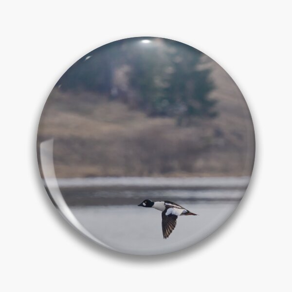 Item preview, By the Fieldside lake. Common goldeneye designed and sold by Jouko Lehto Photography.