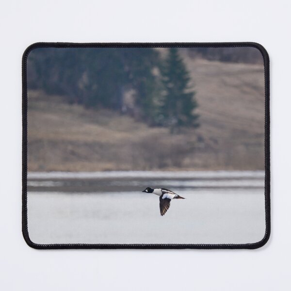 Item preview, By the Fieldside lake. Common goldeneye designed and sold by Jouko Lehto Photography.