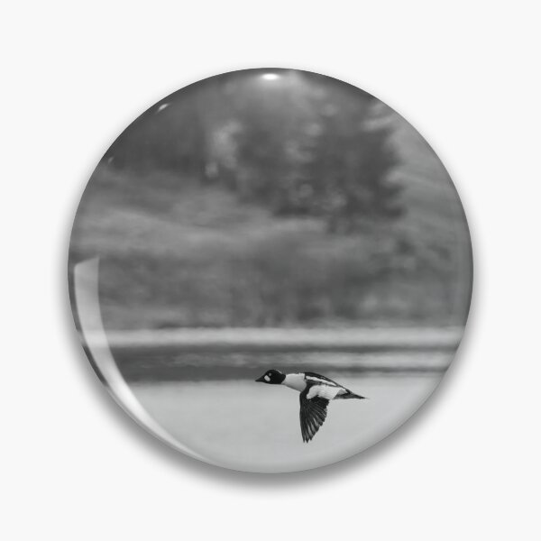 Item preview, By the Fieldside lake. Common goldeneye bw designed and sold by Jouko Lehto Photography.