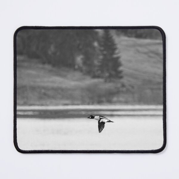 Item preview, By the Fieldside lake. Common goldeneye bw designed and sold by Jouko Lehto Photography.