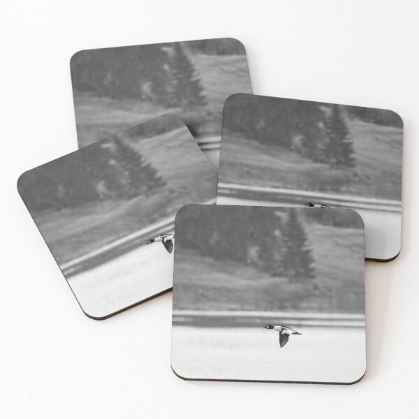 Item preview, By the Fieldside lake. Common goldeneye bw designed and sold by Jouko Lehto Photography.