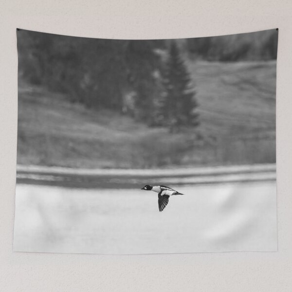 Item preview, By the Fieldside lake. Common goldeneye bw designed and sold by Jouko Lehto Photography.