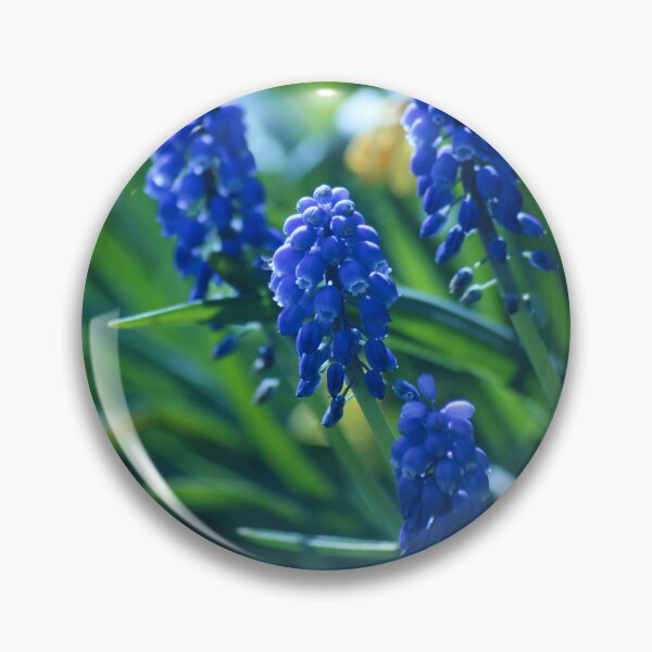 Item preview, Bluebells designed and sold by HTHphotography.