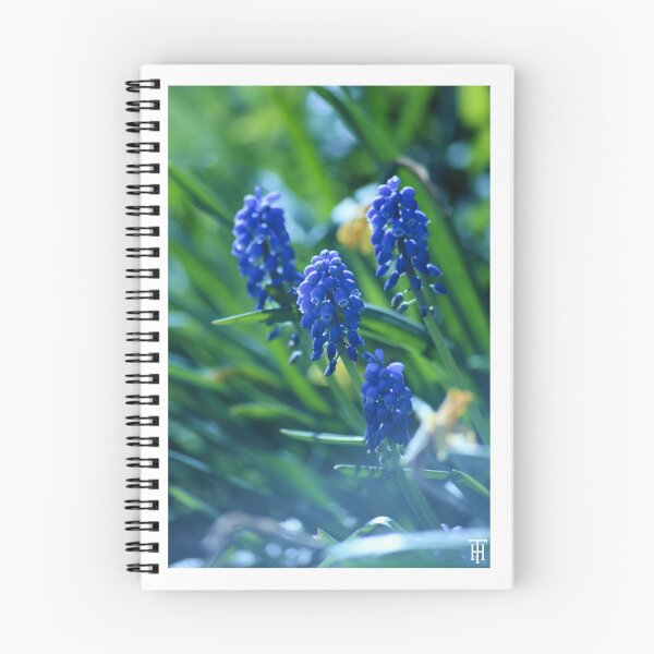 Item preview, Bluebells designed and sold by HTHphotography.