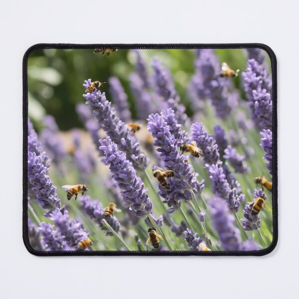 Item preview, Lavender Blooms and Busy Bees Watercolor Art designed and sold by HeartfulBloom.