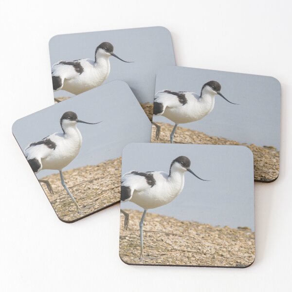 Item preview, Pied Avocet designed and sold by LaurenTucker.