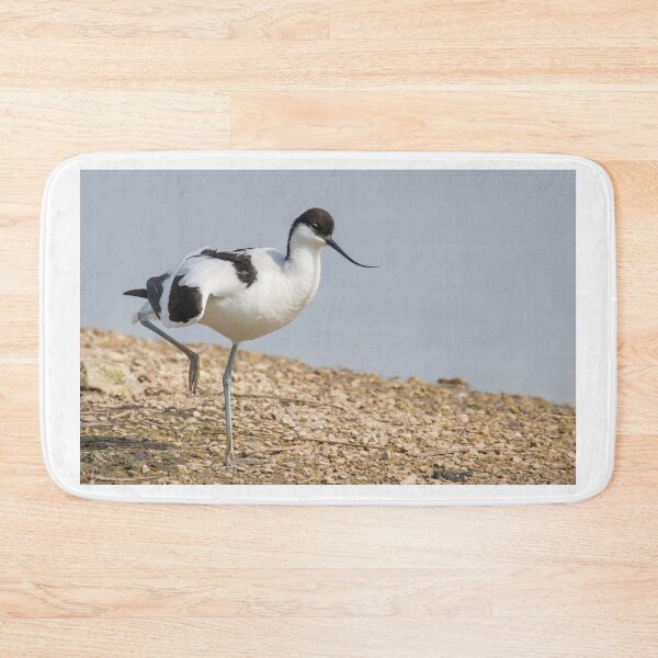 Item preview, Pied Avocet designed and sold by LaurenTucker.