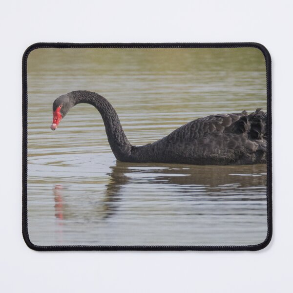 Item preview, Black Swan designed and sold by LaurenTucker.