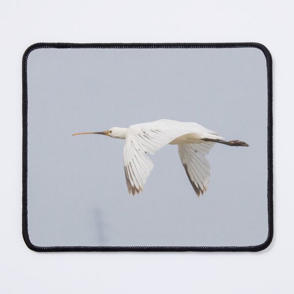 Item preview, Spoonbill designed and sold by LaurenTucker.