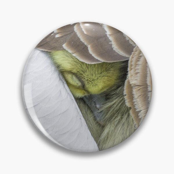 Item preview, Greylag Goose designed and sold by LaurenTucker.