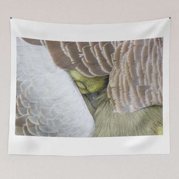 Item preview, Greylag Goose designed and sold by LaurenTucker.