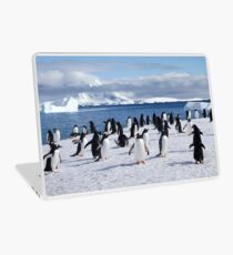 Gentoo penguins (Pygoscelis papua). Antarctica Laptop Skin