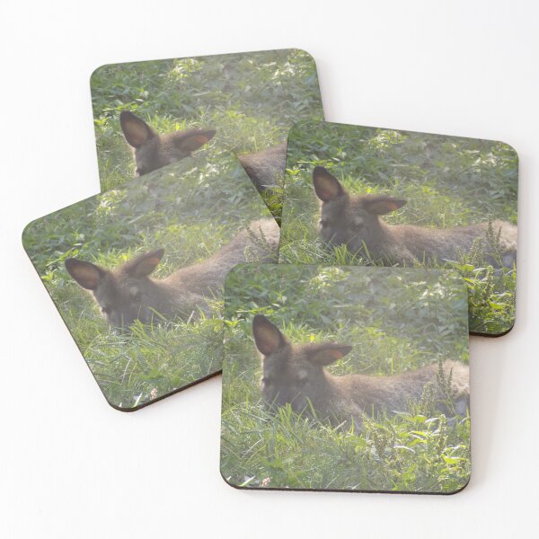 Item preview, Lounging Kangaroo  designed and sold by Wolfie-Rose.