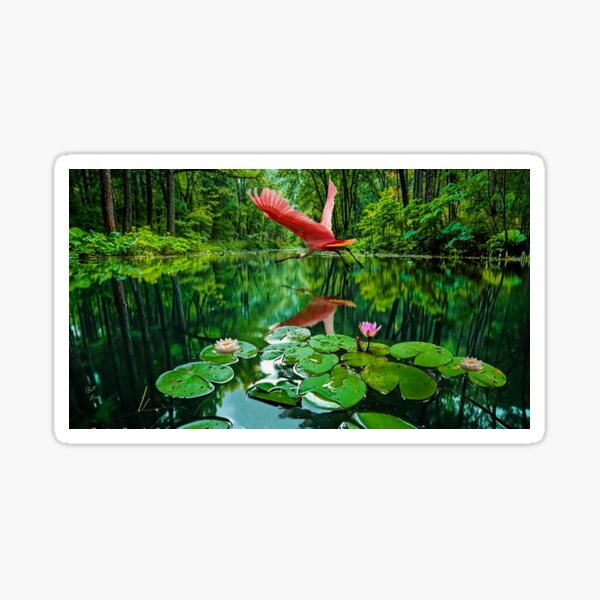 Item preview, Rosette Spoonbill;s Journey designed and sold by billfox256.