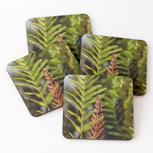Item preview, Ferns in the flatwoods designed and sold by Theresa Wainwright.