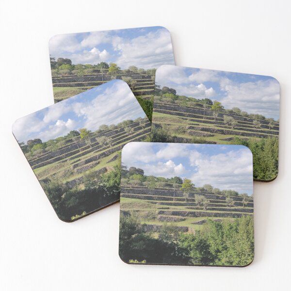 Item preview, landscape designed and sold by KNBS.